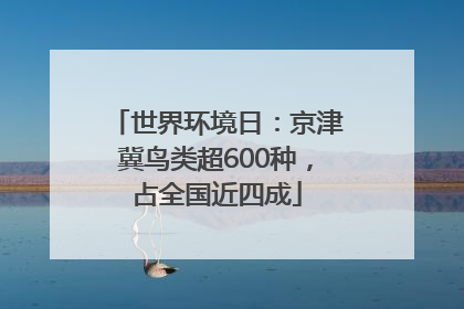 世界环境日：京津冀鸟类超600种，占全国近四成
