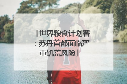 世界粮食计划署：苏丹首都面临严重饥荒风险