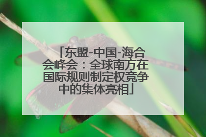 东盟-中国-海合会峰会：全球南方在国际规则制定权竞争中的集体亮相