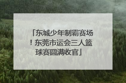 东城少年制霸赛场！东莞市运会三人篮球赛圆满收官