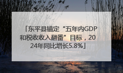 东平县锚定“五年内GDP和税收收入翻番”目标，2024年同比增长5.8%
