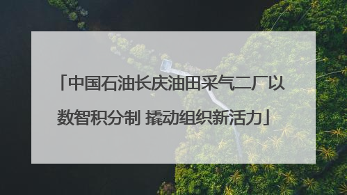 中国石油长庆油田采气二厂以数智积分制 撬动组织新活力