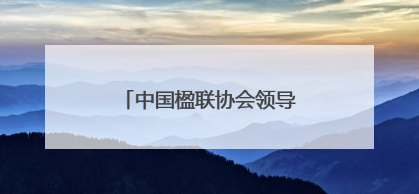 中国楹联协会领导莅临广水市实验小学调研指导楹联工作