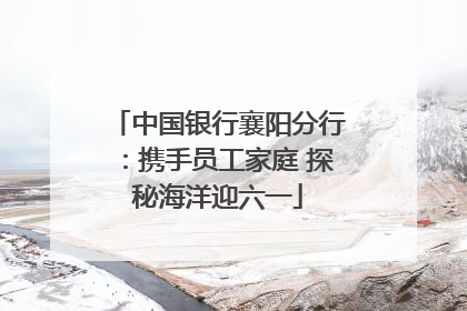 中国银行襄阳分行：携手员工家庭 探秘海洋迎六一