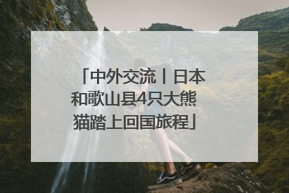 中外交流丨日本和歌山县4只大熊猫踏上回国旅程