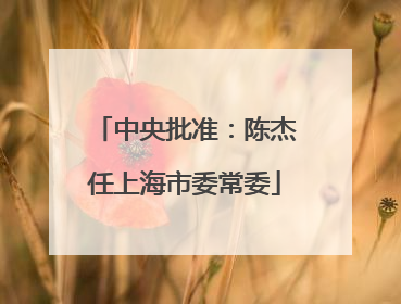 中央批准：陈杰任上海市委常委