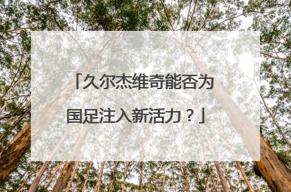 久尔杰维奇能否为国足注入新活力？