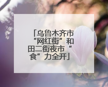 乌鲁木齐市“网红街”和田二街夜市“食”力全开