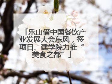 乐山借中国餐饮产业发展大会东风，签项目、建学院力推“美食之都”