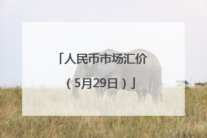 人民币市场汇价（5月29日）