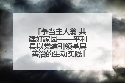 争当主人翁 共建好家园——平利县以党建引领基层善治的生动实践