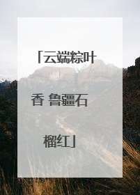 云端粽叶香 鲁疆石榴红