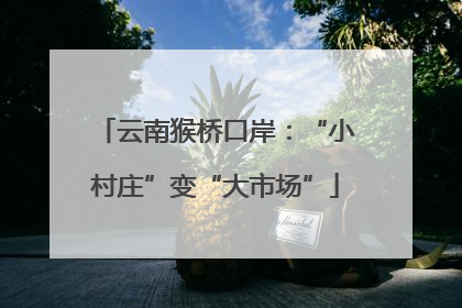 云南猴桥口岸：“小村庄”变“大市场”