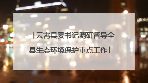 云霄县委书记调研督导全县生态环境保护重点工作