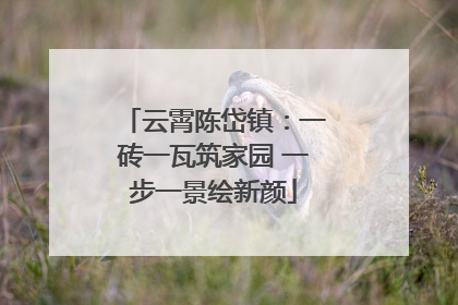 云霄陈岱镇：一砖一瓦筑家园 一步一景绘新颜