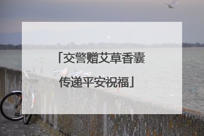 交警赠艾草香囊 传递平安祝福