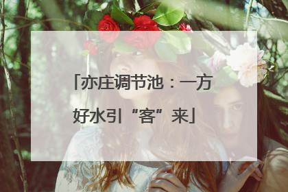 亦庄调节池：一方好水引“客”来