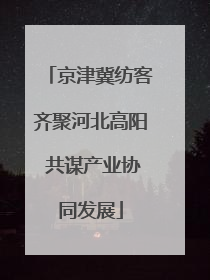 京津冀纺客齐聚河北高阳 共谋产业协同发展