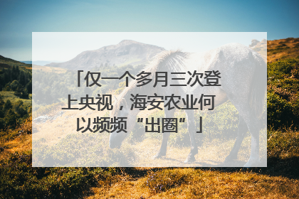 仅一个多月三次登上央视，海安农业何以频频“出圈”