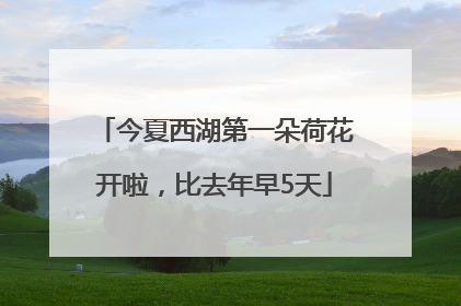 今夏西湖第一朵荷花开啦，比去年早5天