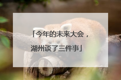 今年的未来大会，湖州谈了三件事