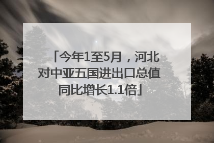 今年1至5月，河北对中亚五国进出口总值同比增长1.1倍