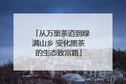 从万里茶道到绿满山乡 安化黑茶的生态致富路