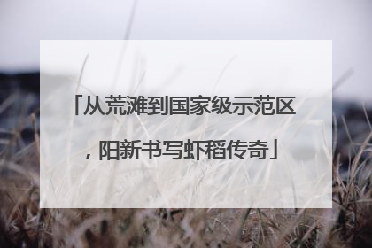 从荒滩到国家级示范区，阳新书写虾稻传奇