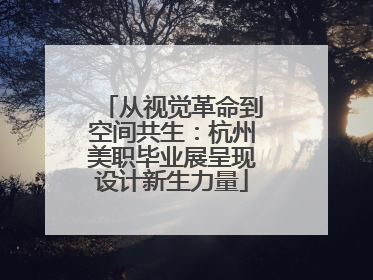 从视觉革命到空间共生：杭州美职毕业展呈现设计新生力量