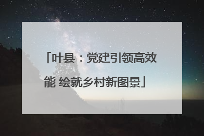 叶县：党建引领高效能 绘就乡村新图景