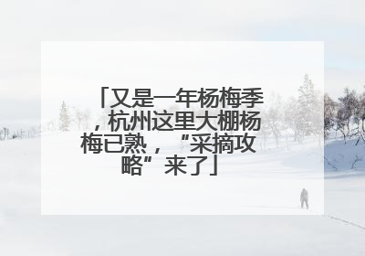 又是一年杨梅季，杭州这里大棚杨梅已熟，“采摘攻略”来了