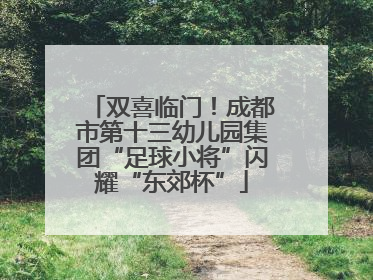 双喜临门！成都市第十三幼儿园集团“足球小将”闪耀“东郊杯”