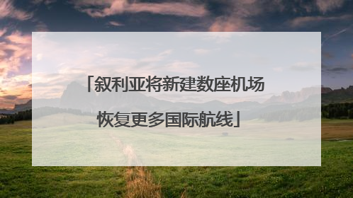 叙利亚将新建数座机场 恢复更多国际航线