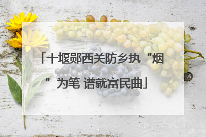 十堰郧西关防乡执“烟”为笔 谱就富民曲
