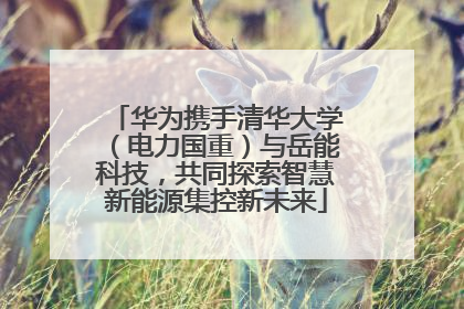华为携手清华大学（电力国重）与岳能科技，共同探索智慧新能源集控新未来