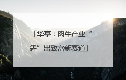 华亭：肉牛产业“犇”出致富新赛道