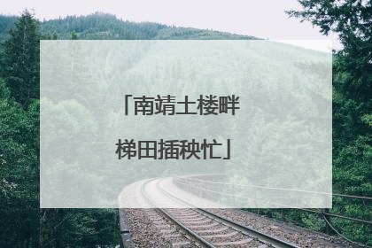 南靖土楼畔 梯田插秧忙