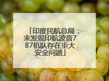 印度民航总局：未发现印航波音787机队存在重大安全问题