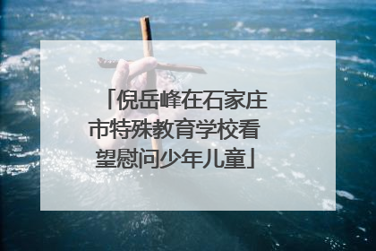 倪岳峰在石家庄市特殊教育学校看望慰问少年儿童