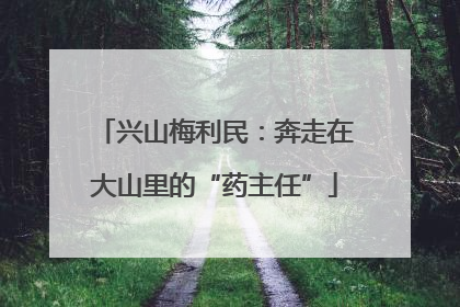 兴山梅利民：奔走在大山里的“药主任”