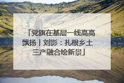 党旗在基层一线高高飘扬丨刘影：扎根乡土 三产融合绘新景