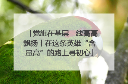 党旗在基层一线高高飘扬丨在这条英雄“含量高”的路上寻初心