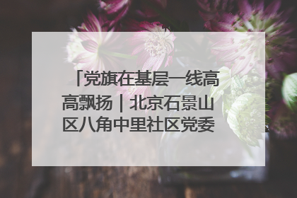 党旗在基层一线高高飘扬｜北京石景山区八角中里社区党委：用脚步丈量民生