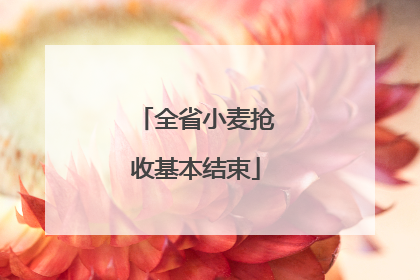 全省小麦抢收基本结束