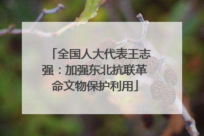 全国人大代表王志强：加强东北抗联革命文物保护利用