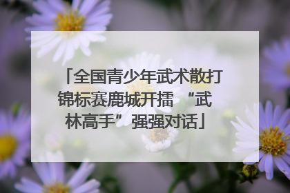 全国青少年武术散打锦标赛鹿城开擂 “武林高手”强强对话