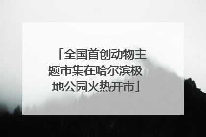 全国首创动物主题市集在哈尔滨极地公园火热开市