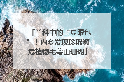 兰科中的“显眼包”！内乡发现珍稀濒危植物毛萼山珊瑚