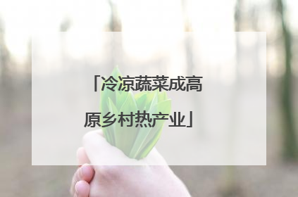 冷凉蔬菜成高原乡村热产业
