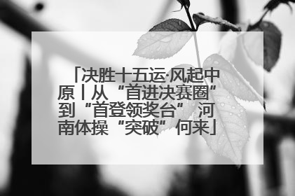 决胜十五运·风起中原丨从“首进决赛圈”到“首登领奖台” 河南体操“突破”何来